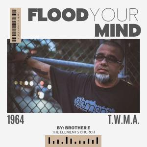 Album Flood Your Mind (Remix) from Brother E