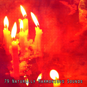 Spiritual Fitness Music的專輯79 Naturally Harmonious Sounds