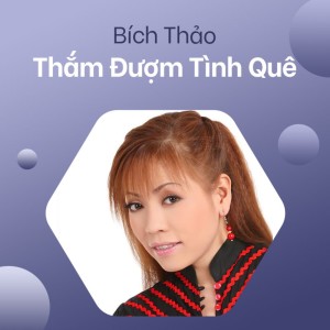 Bích Thảo的專輯Thắm Đượm Tình Quê