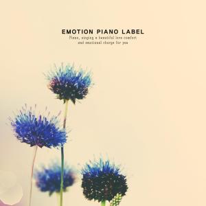 Album Sensibility New Age Piano to Talk about Memories of Love from Various Artists