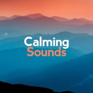 收聽Calming Sounds的Sleep Through the Downpour歌詞歌曲
