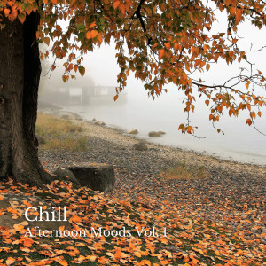 Album Chill: Afternoon Moods Vol. 1 from lofi.samurai