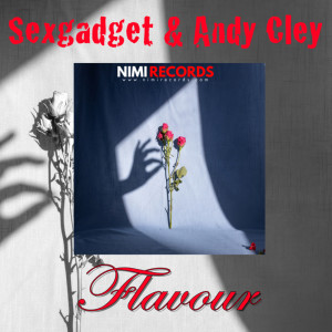 Album Flavour from Andy Cley