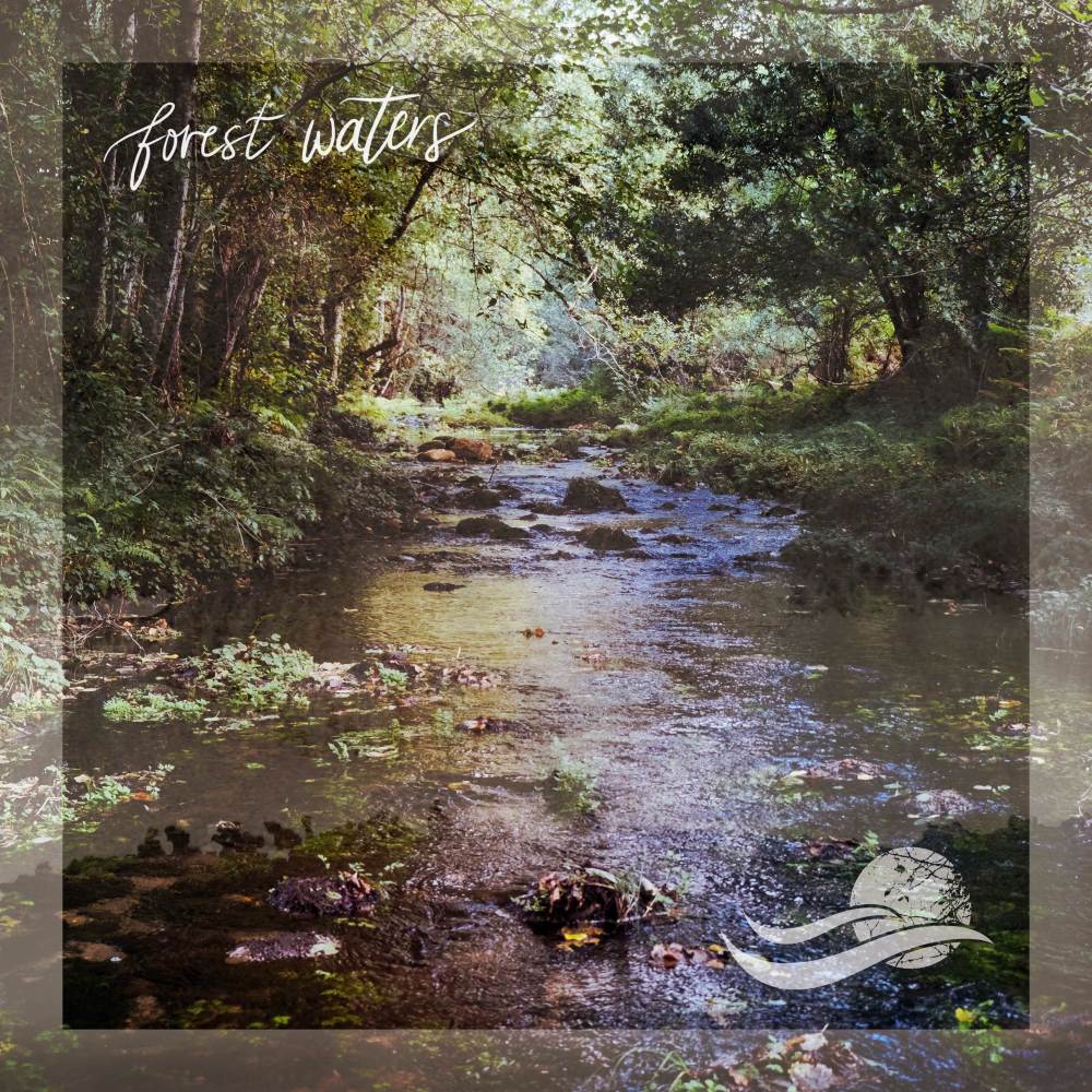 Miniature Waterfall at Mud Creek (loopable)