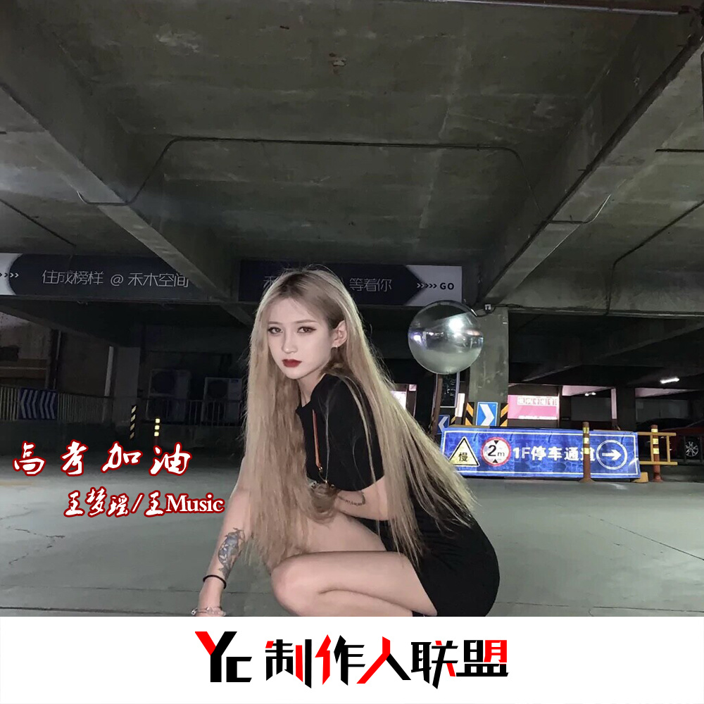 机车摇 (DJ版)