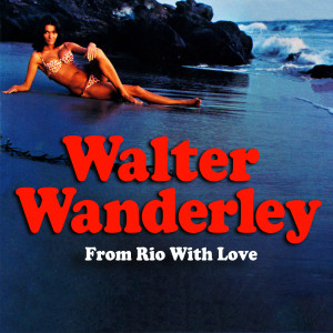 ดาวน์โหลดและฟังเพลง What Do You Know About Me? พร้อมเนื้อเพลงจาก Walter Wanderley