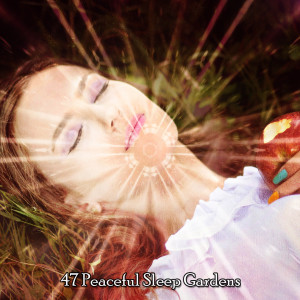 Album 47 Peaceful Sleep Gardens from Sleep Sounds Ambient Noises