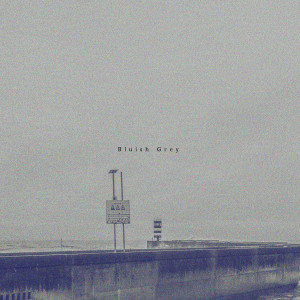 Listen to Bluish Grey song with lyrics from The Moøm