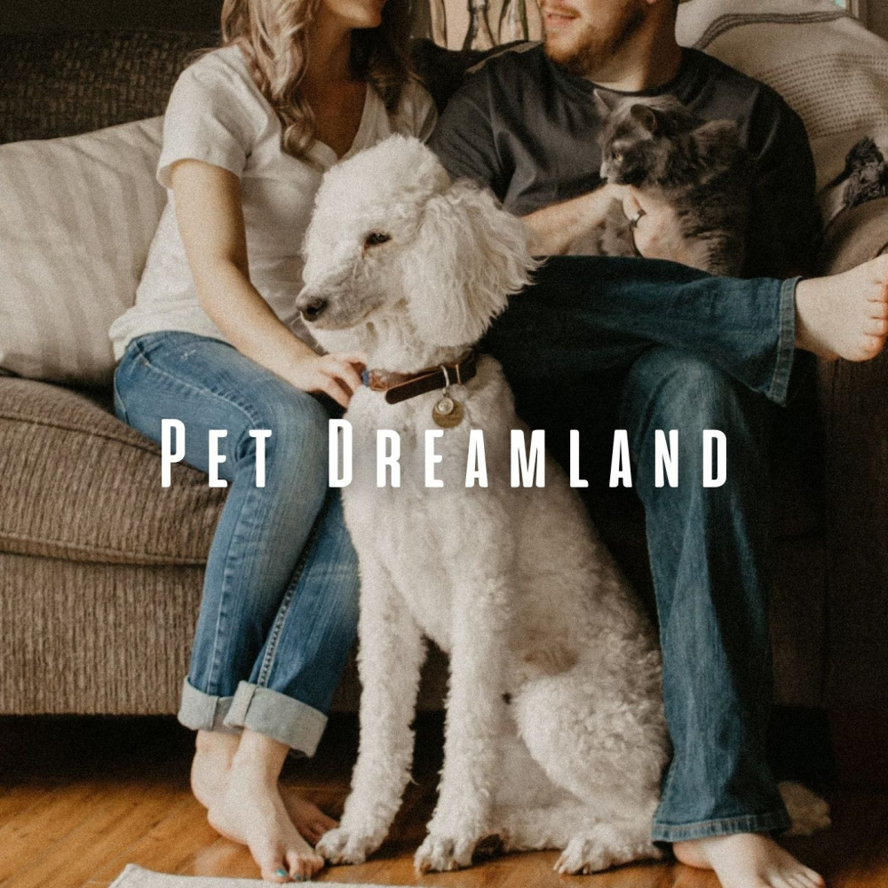 Soothing Comfort for Pets