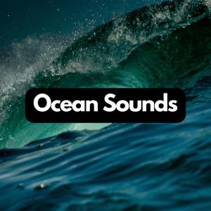 Sea Waves Sounds的专辑Ocean Waves Relaxation: Tidal Whispers
