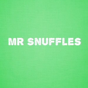 ดาวน์โหลดและฟังเพลง Snuffles and Newt พร้อมเนื้อเพลงจาก Kristin Dyrud