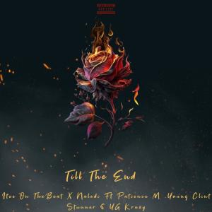Itee On TheBeat的專輯Till The End (feat. Naledi, Patience M, Young Clint Stunner & YG Krazy)