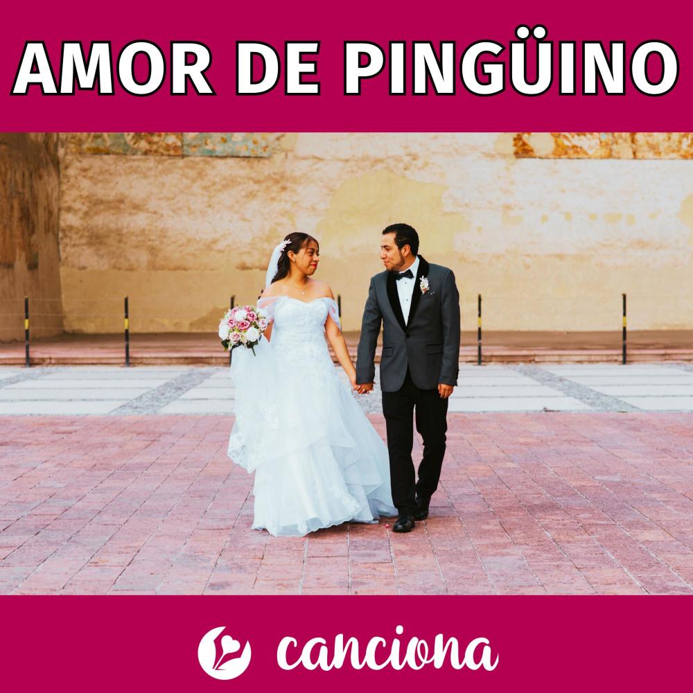 Amor de pingüino