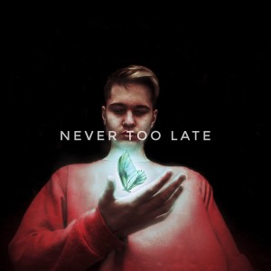 Album Never Too Late from Dj Sergeiedition