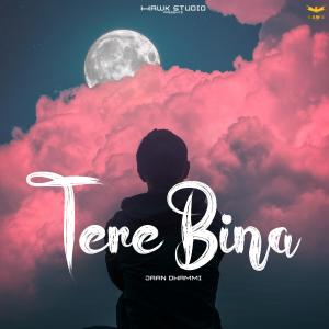 Jaan Dhammi的專輯Tere Bina