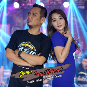 Dengarkan Jamu Pegel Mlarat lagu dari Fendik Adella dengan lirik