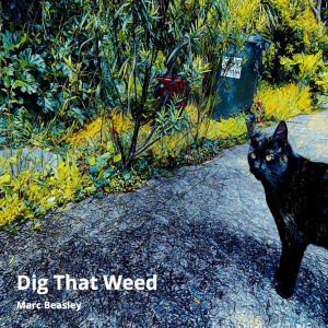 收聽Marc Beasley的Dig That ****歌詞歌曲