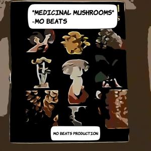 Album Medicine Mushrooms oleh Mo Beats