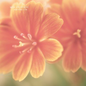Dengarkan 우리아기 편안한 숙면을 위한 아름다운 선율의 피아노 자장가 - 엄마의 사랑 lagu dari HIGH PIANO dengan lirik