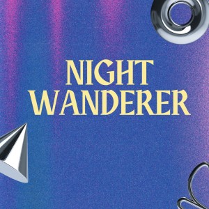 Album Night Wanderer from VDJ Fly