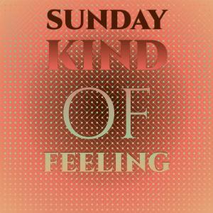Listen to Sunday Kind Of Feeling song with lyrics from Tinging Mother's Circus
