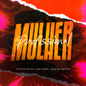 Listen to Mulher Profissional song with lyrics from DJ WG DO SS