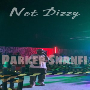 Listen to Not Dizzy song with lyrics from Parker Snanfi