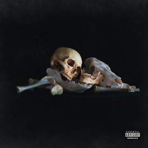 Album Danger (Explicit) from ism