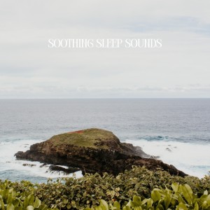 Album Soothing Sleep Sounds from 