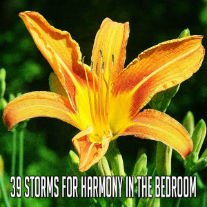 ดาวน์โหลดและฟังเพลง Presented Calm Storm พร้อมเนื้อเพลงจาก Relaxing Rain Sounds