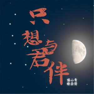 苗小青的專輯只想與君伴