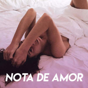 收听Boricua Boys的Nota de Amor歌词歌曲