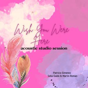 Listen to Wish You Were Here - Acoustic Studio Session (feat. Seba Gaido & Martin Roman) song with lyrics from Patricio Gimenez