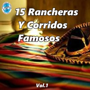 Listen to Mañana Me Voy song with lyrics from Pineda y Torres