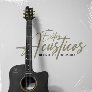 收聽Sueño De Hormiga的Nadie Más (Acoustic)歌詞歌曲