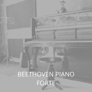 Listen to Piano Concerto No. 5 song with lyrics from Leon Fleischer