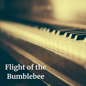 Rachmaninov的專輯Flight of the Bumblebee