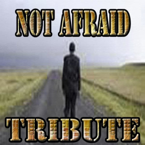 I'm Not Afraid的專輯Not Afraid - Single (Tribute to Eminem)