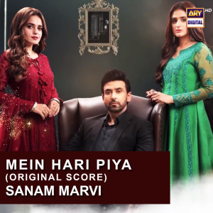 Listen to Mein Hari Piya (Original Score) song with lyrics from Sanam Marvi