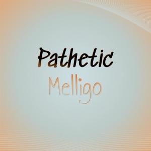 Various Artists的专辑Pathetic Melligo