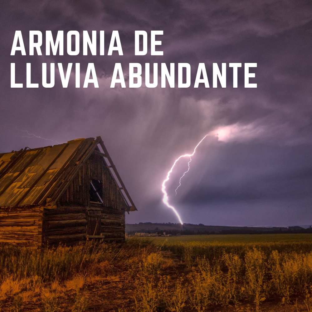 Lluvia Para Dormirse