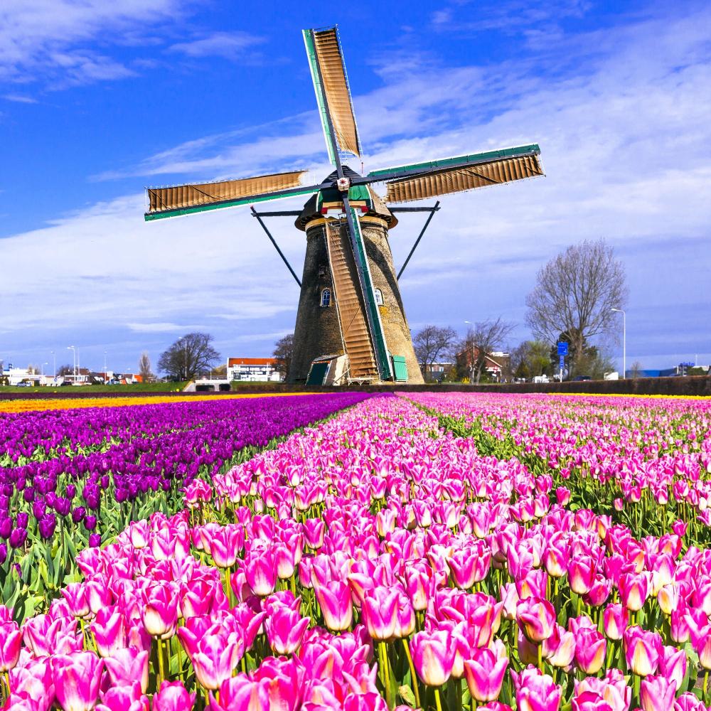 Windmill