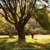 default album img