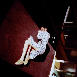 Listen to 絨毛 song with lyrics from 刘莉旻