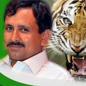 Listen to Bea Da Jwandi Zameer Zwanano Pasai (Instrumental) song with lyrics from Ayaz Khan