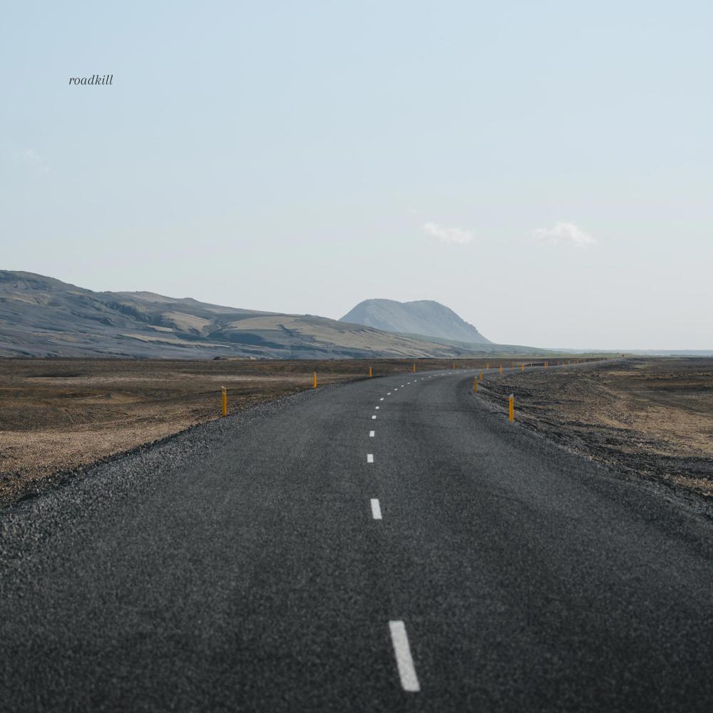 Roadkill