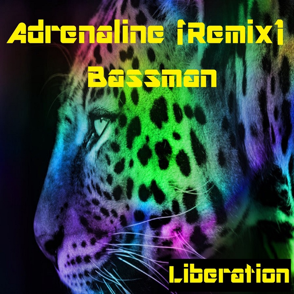 Adrenaline (Remix)