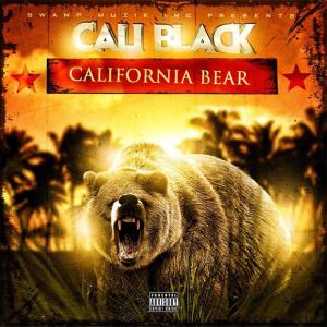 收聽Caliblack的Over Do It (feat. Beezly Macaphee) (Explicit)歌詞歌曲