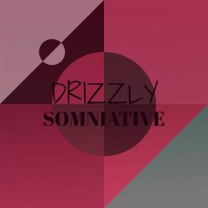 Album Drizzly Somniative oleh Various Artists