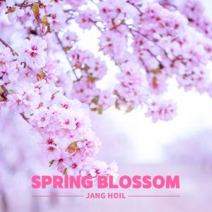 Dengarkan lagu Spring Blossom nyanyian Jang Hoil dengan lirik